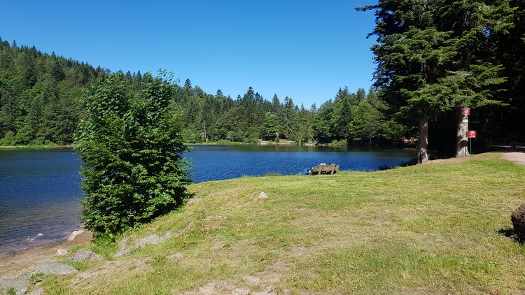 La Bresse été : www.petitecaille.fr